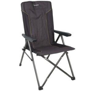 Kaufmann Delta Chair - 3 Adjustable Backrest Positions | V0202020