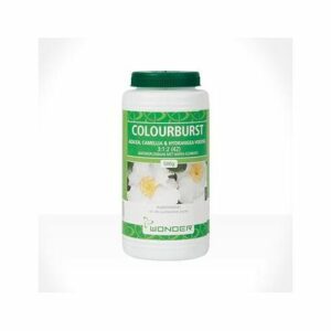 Efekto Colourburst Azalea 500 g | 31473