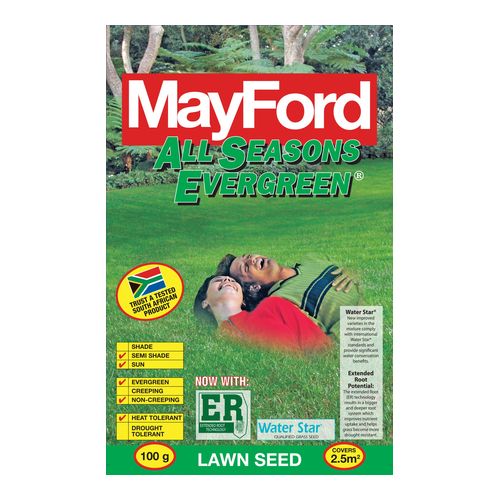 Mayford All Seasons Evergreen
