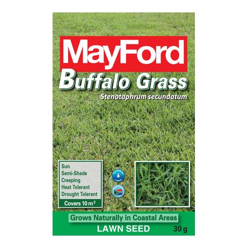 Mayford Buffalo Grass