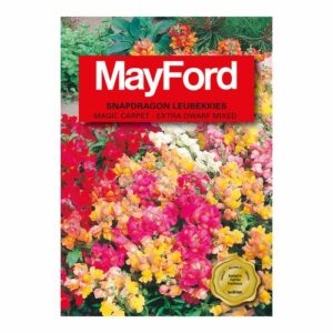 Mayford Magic Carpet - Ext Dwarf Mixed