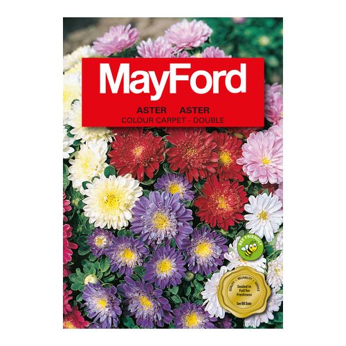 Mayford Colour Carpet - Double Mix
