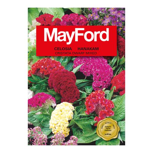 Mayford Cristata - Mixed