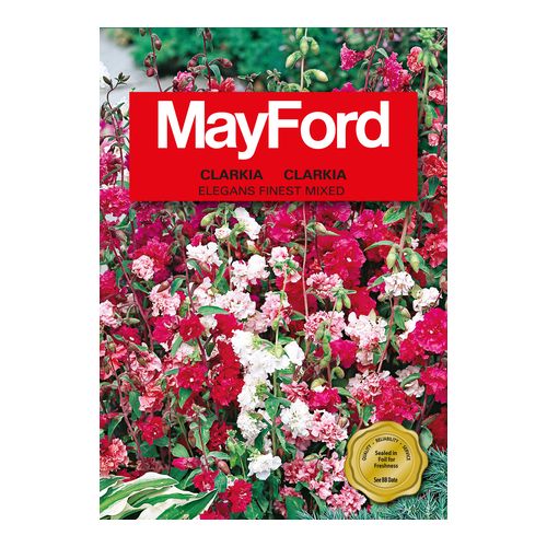 Mayford Elegans Finest Mixed