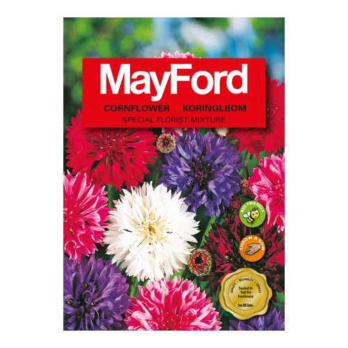 Mayford Special Florist Mix - Double