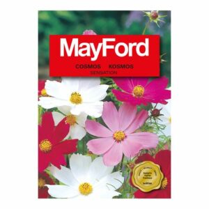 Mayford Sensation - Mixed