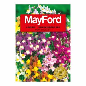 Mayford Fairy Bouquet - Mixed