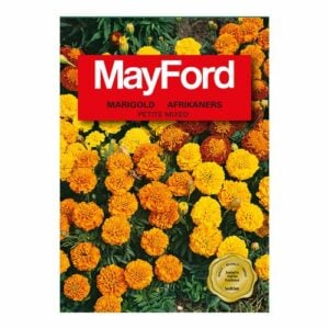 Mayford Petite - Mixed Double