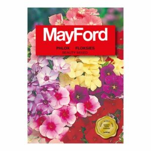 Mayford Beauty - Dwarf Mixed