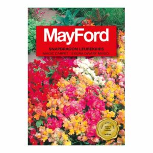 Mayford Magic Carpet - Extra Dwarf Mixed