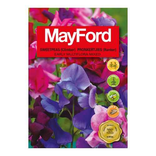 Mayford Early Multiflora Mixed - Climbing