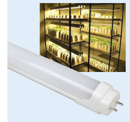 Growing with deals t8 fluorescent lights