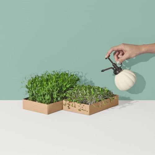 Good Roots Microgreens Grow Kit - Broccoli & Pea Shoots | OR2102