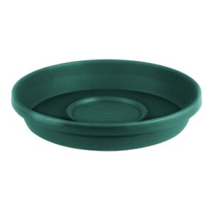 Sebor - Super Pot Saucer 15cm - Green | FM457127